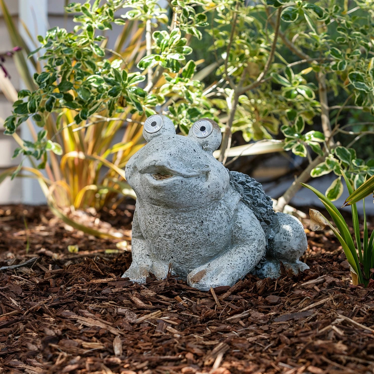 Budget ๐งจ Alpine Corporation 12" Tall Outdoor Solar Powered Frog Yard Statue With LED Lights, Gray ๐ฅ 3 Budget ๐งจ Alpine Corporation 12" Tall Outdoor Solar Powered Frog Yard Statue With LED Lights, Gray ๐ฅ