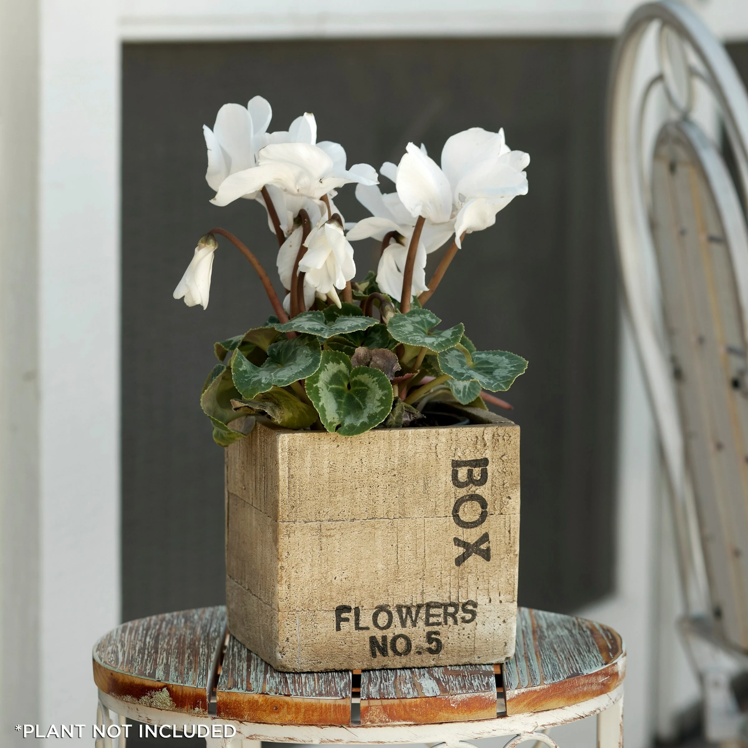 Top 10 π Alpine Corporation Wood-Finish Square Flower Box Planter π§¨